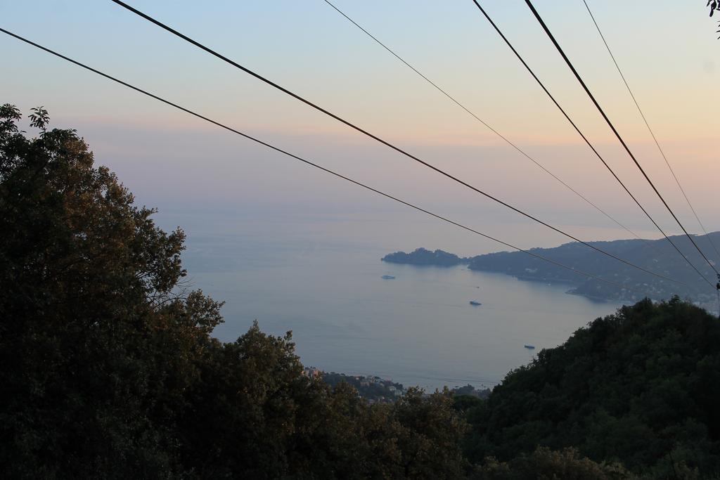 Hotel Montallegro Rapallo Exterior photo